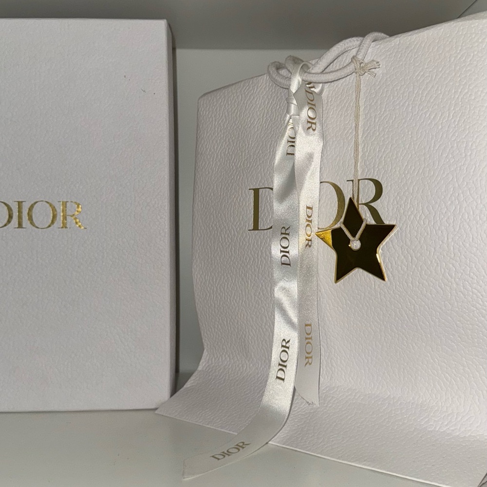 dior bag + box